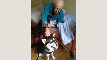 Dog visits Bereweeke Court care home